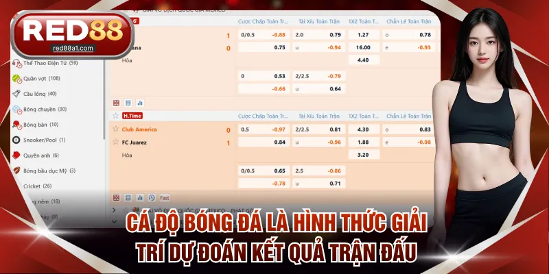 Cá độ bóng đá là hình thức giải trí dự đoán kết quả trận đấu