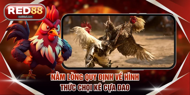 Nằm lòng quy định về hình thức chọi kê cựa dao